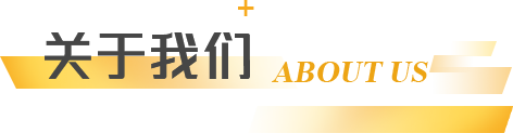 关于我们