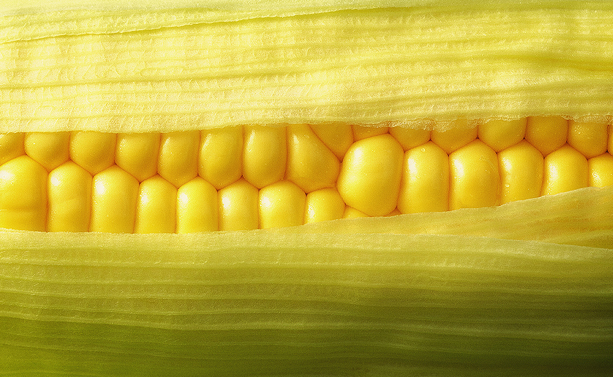 个性化品质定制